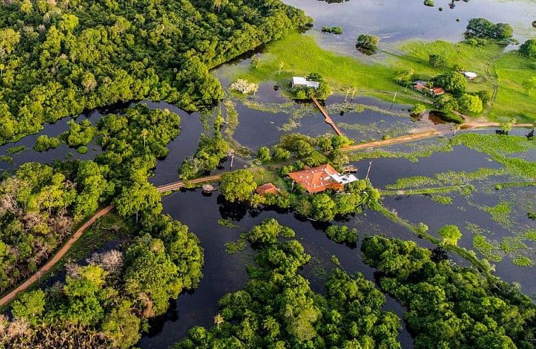 Refugio Da Ilha Pantanal Brasilien GloboTur