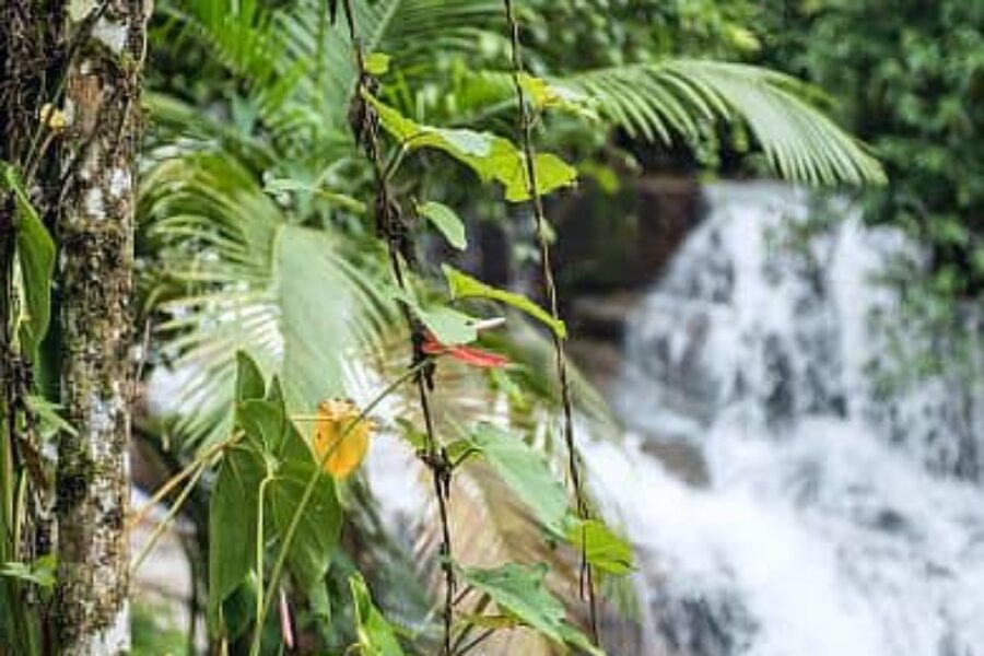 Beautiful White Stone's Waterfall In Paraty, Rio De Janeiro Stat