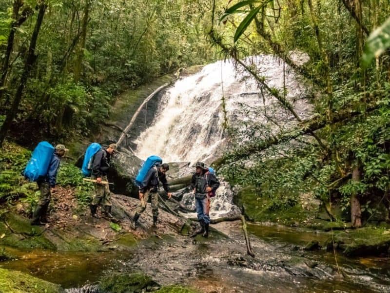 Legado das Aguas in Brasiliens Mata Atlântica | GloboTur