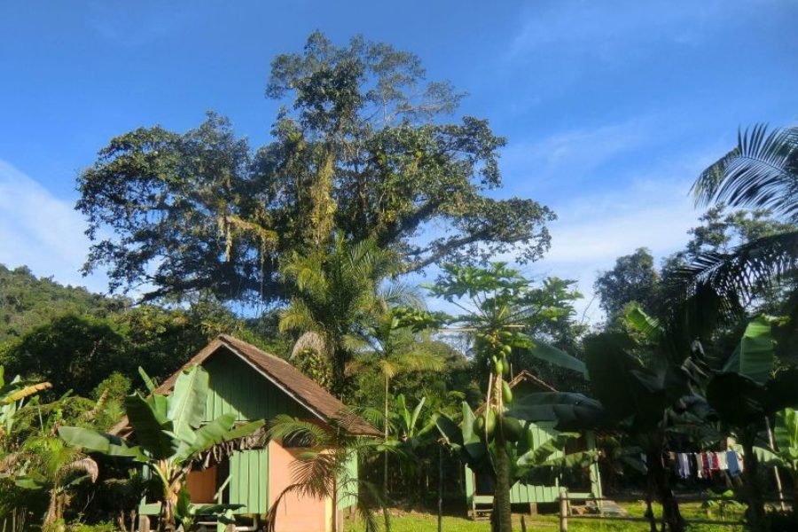 Dschungel Lodge Bungalows Mar e Mato Sebui Brasilien GloboTur