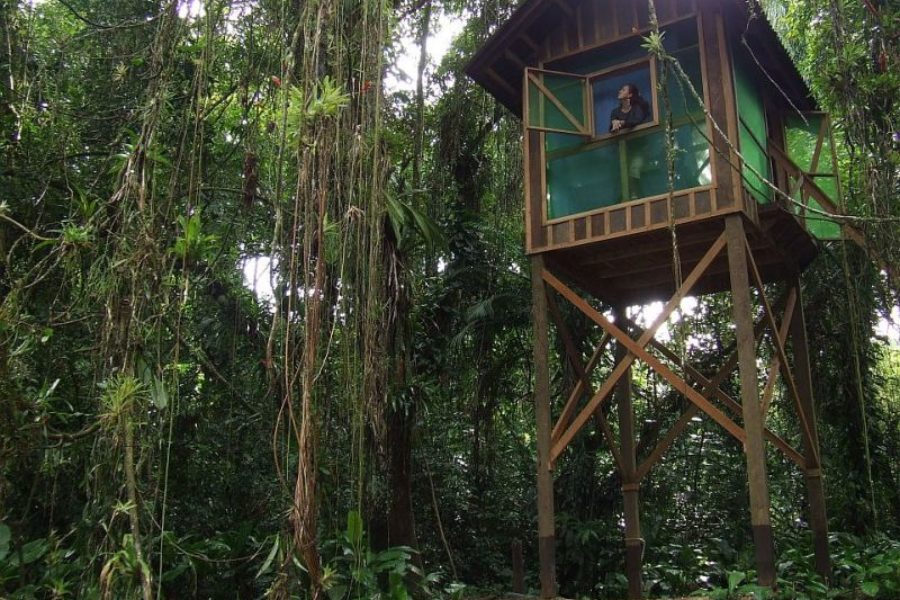 Dschungel Lodge Sebuí Mar e Mato Sebuí Brasilien GloboTur