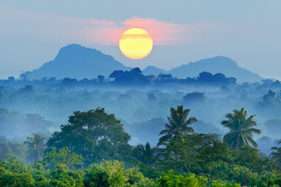 Sonnenuntergang-im-Regenwald-Brasilien-GloboTur