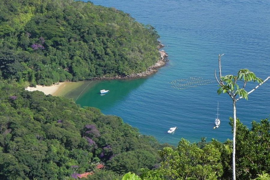 Brasilien Ilhabela Tropische Bucht GloboTur