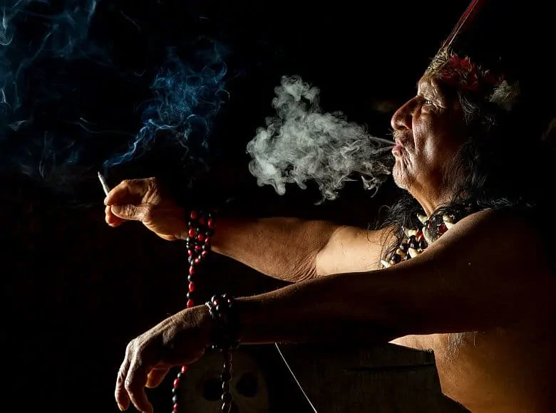 Brasilien-Natur-Kultur-Regenwald-Strand-Tierbeobachtung-GloboTur