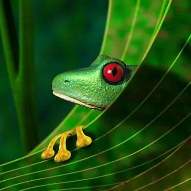 Naturreisen-Fauna-Flora-Brasilien-Spezialist-GloboTur