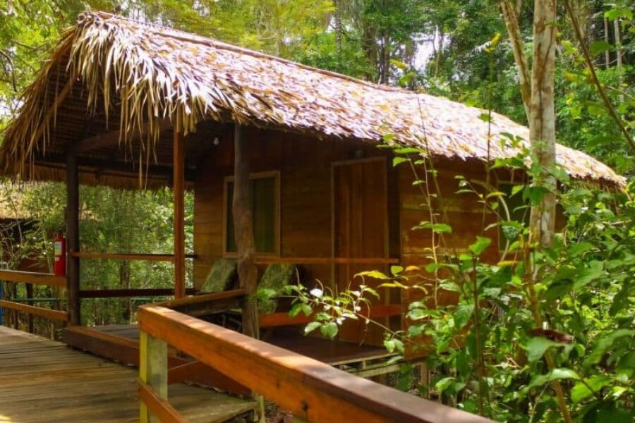 Dolphin_Lodge_Chalet_Basic_Amazonas_GloboTur