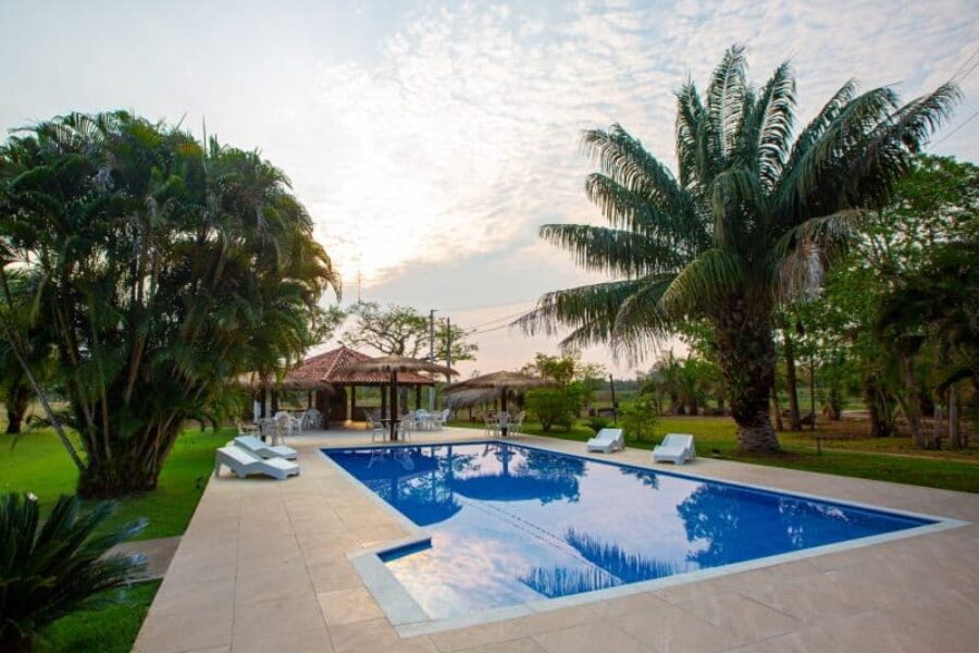 GloboTur_Brasilien_Pantanal_Spezialist_Porto_Jofre_Lodge_Jaguar_Safari_Foto_Jefferson_Prado