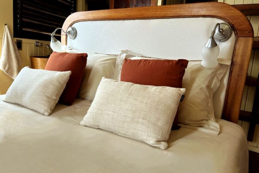 Amazonas-Schiffsreise-Mastersuite-Panorama-Kreuzfahrt-Manakin-GloboTur-Brasilien-Spezialist