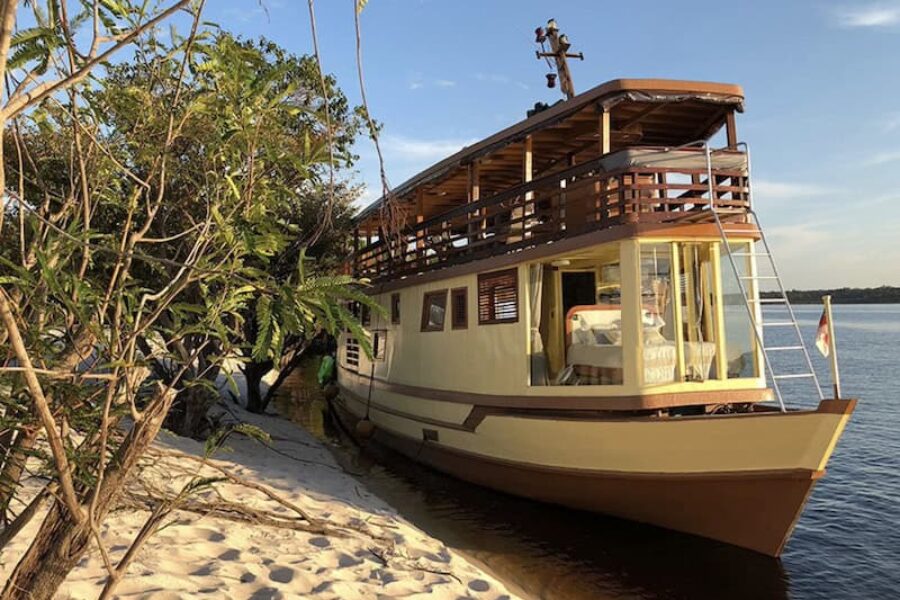 Brasilien-Spezialist-Manakin-Amazonas-Schiffsreise-Kleingruppe-GloboTur