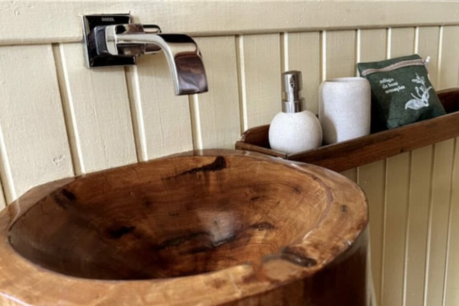 Brasilien-Spezialist-Manakin-Amazonas-Bad-Schiff-Kleingruppen-GloboTur