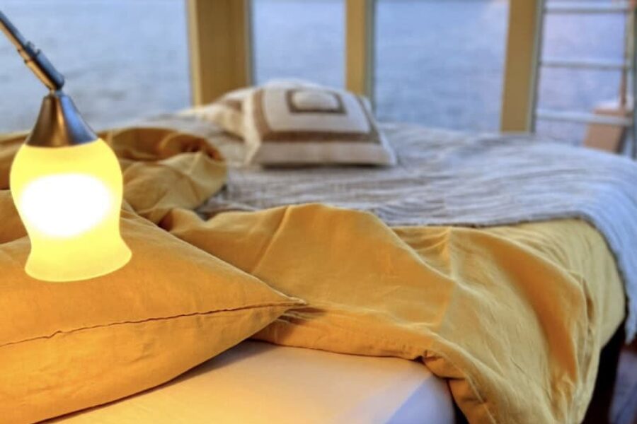 Brasilien-Naturreise-Manakin-Amazonas-Boutique-Schiffsreise-Mastersuite