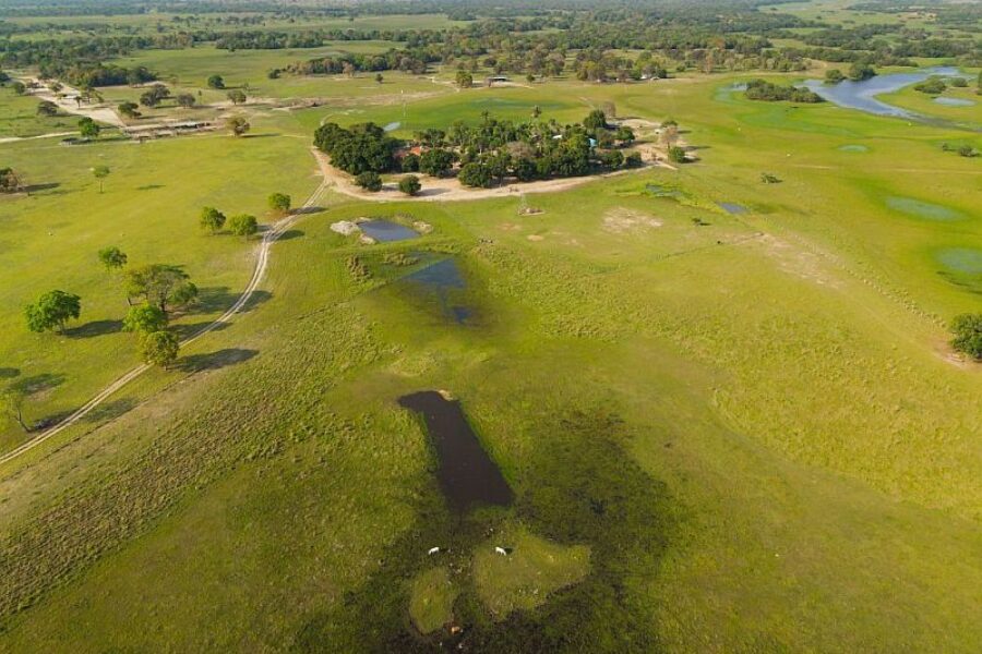 Brasilien_Spezialist_Naturreisen_Tierbeobachtung_Pantanal_Lodge_Baia_das_Pedras_GloboTur