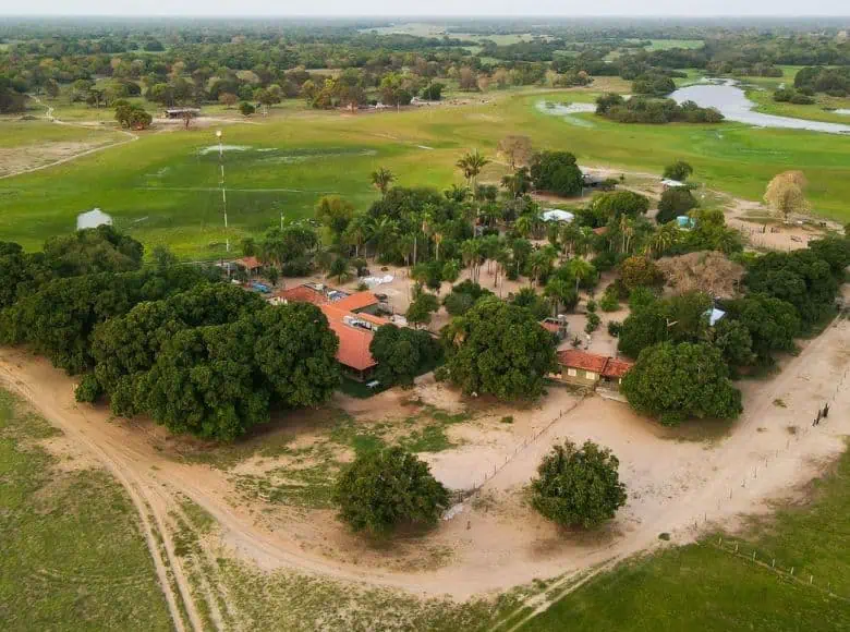Brasilien_Spezialist_Tierbeobachtung_Pantanal_Lodge_Baia_das_Pedras_GloboTur