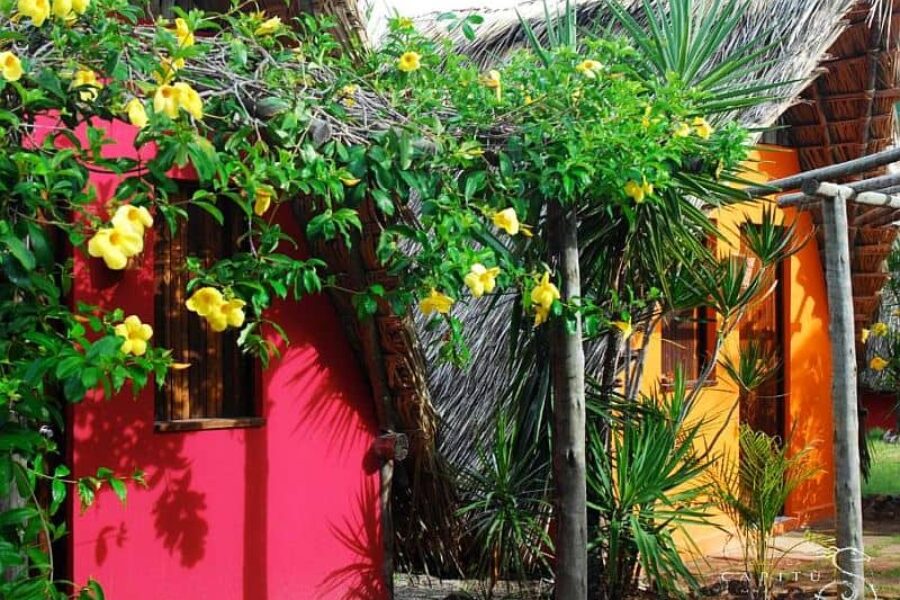 Brasilien_Badeurlaub_Capitu_Bungalow_Standard_Salvador_Imbassai_GloboTur