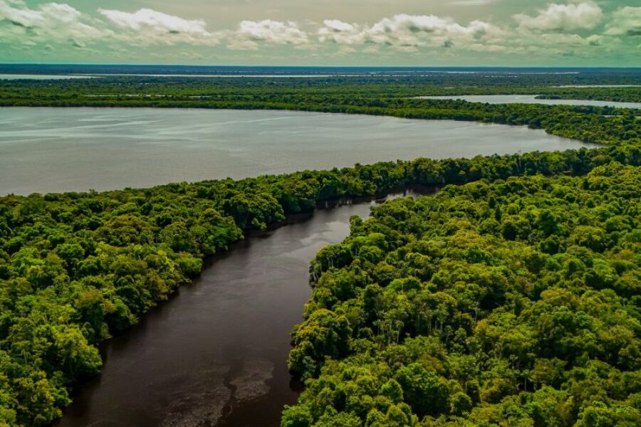 Amazonas_Brasilien_Spezialist_Zaltana_Amazon_Luxuskreuzfahrt_GloboTur