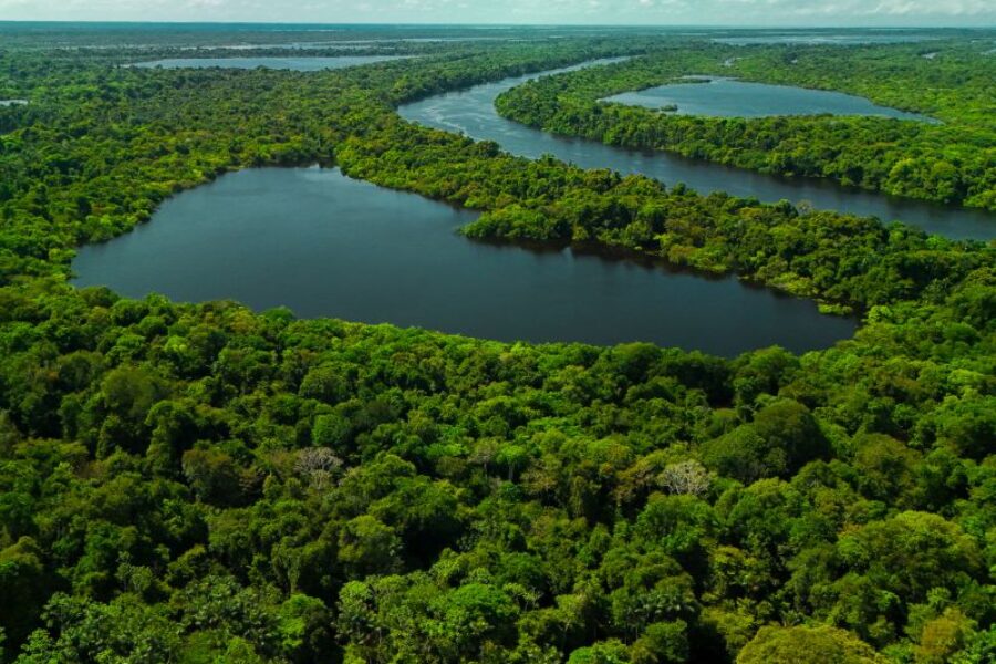 Brasilien_Spezialist_Zaltana_Amazon_Luxuskreuzfahrt_Amazonas_Reisen_GloboTur